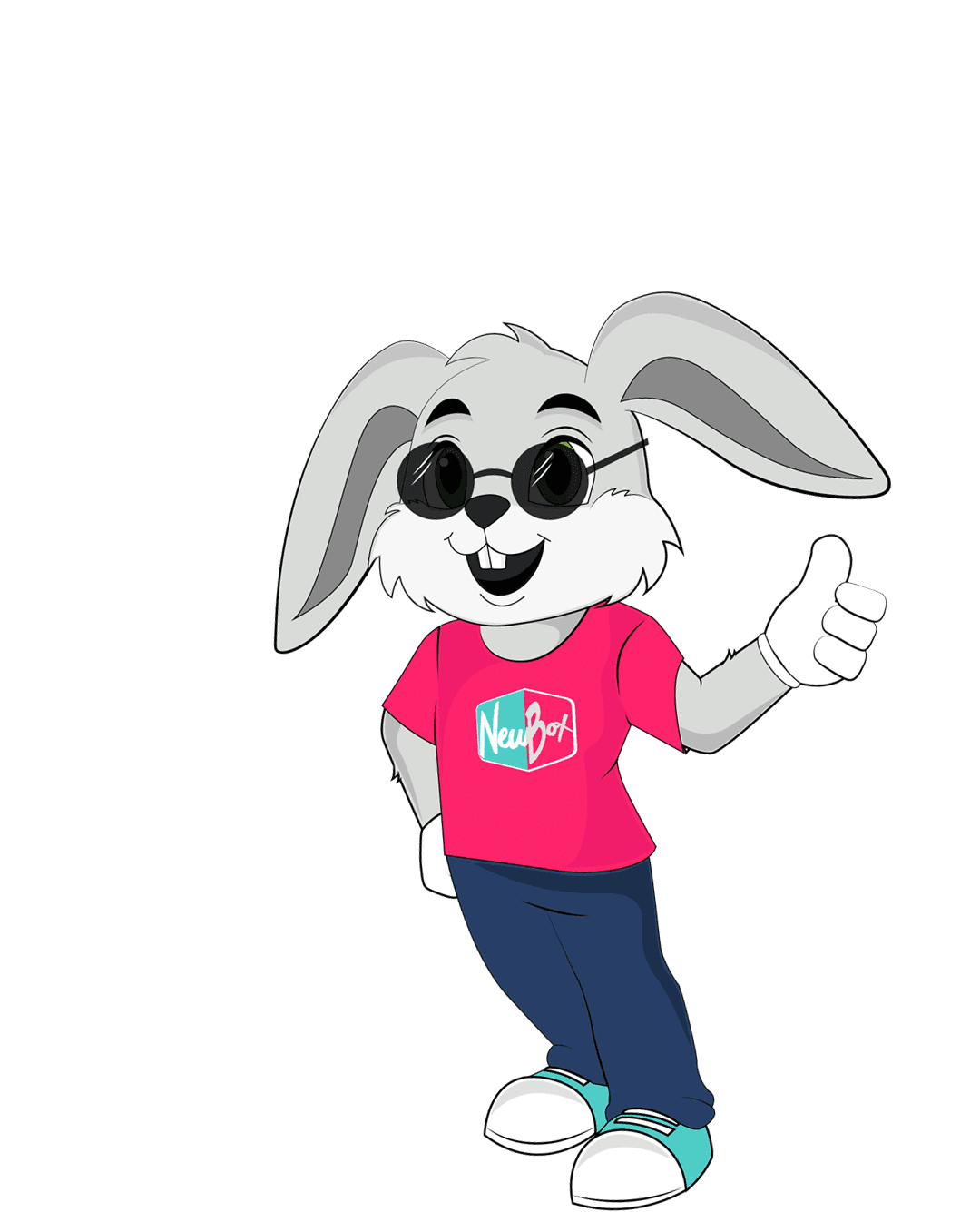 NewBox brand mascot: a character in a pink T-shirt with the NewBox logo.